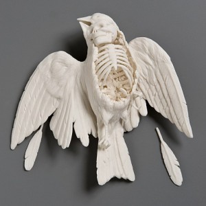 human skeleton inside bird